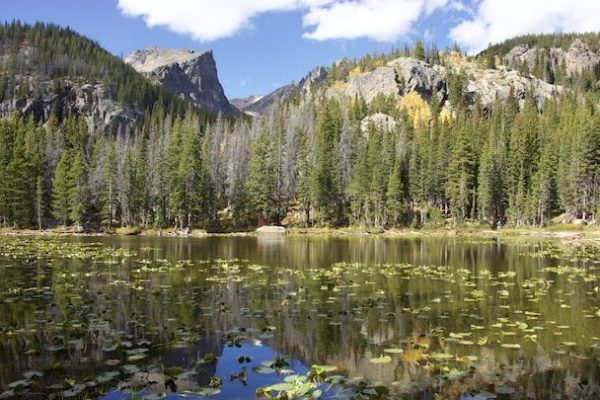 Nymph Lake l in Rocky Mountain National Park